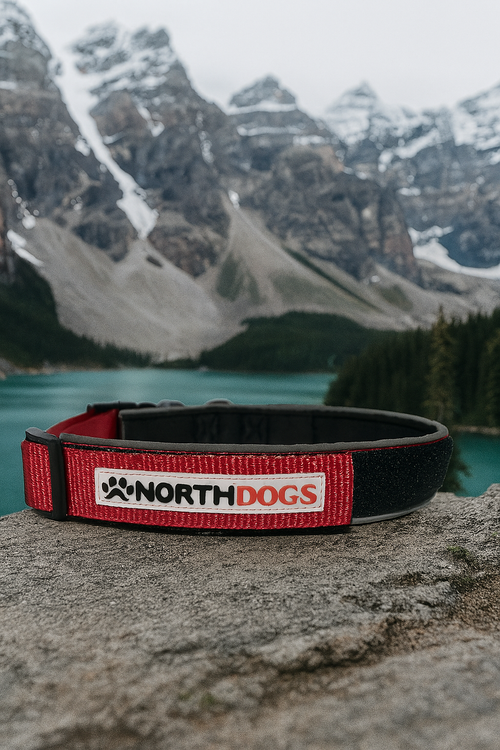 Collar Kenai Northdogs