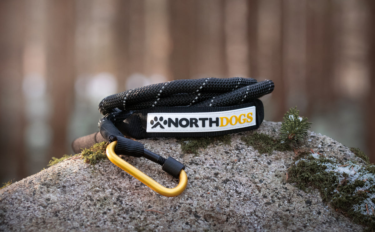 Correa Koda One de Northdogs