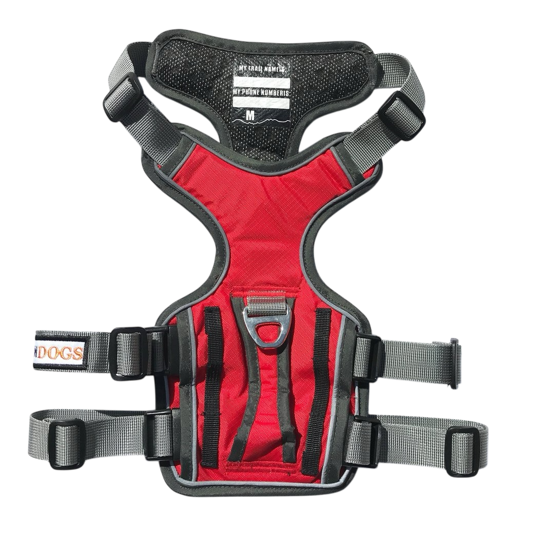 Arnes Denali Northdogs